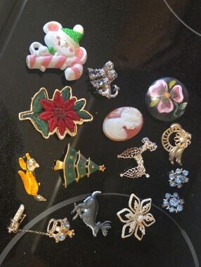 Assortment Of 14 Pins/brooched